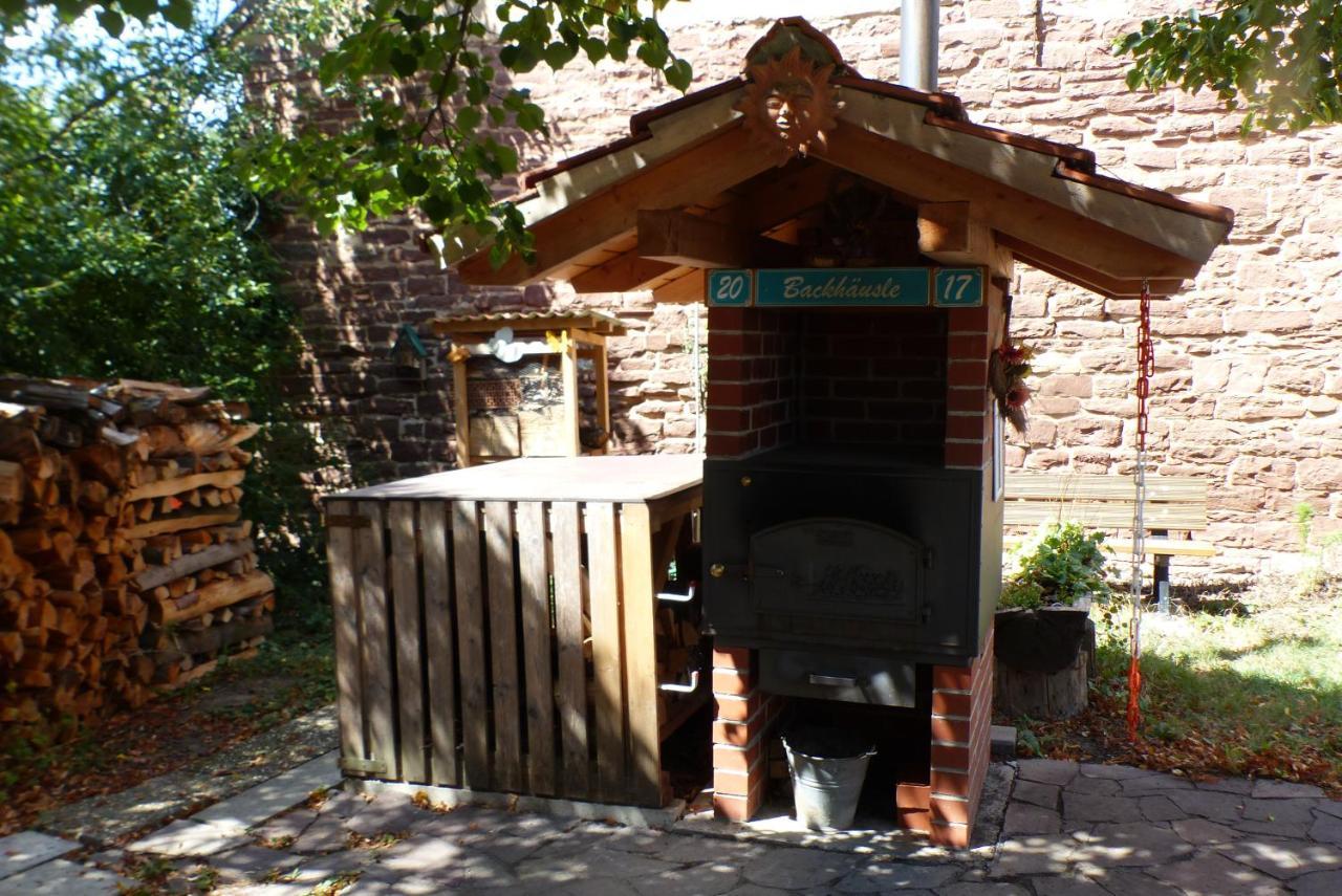Pension Schreckhof Mosbach  Exteriör bild